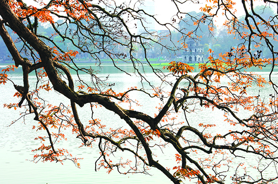 Lung linh Hồ Gươm